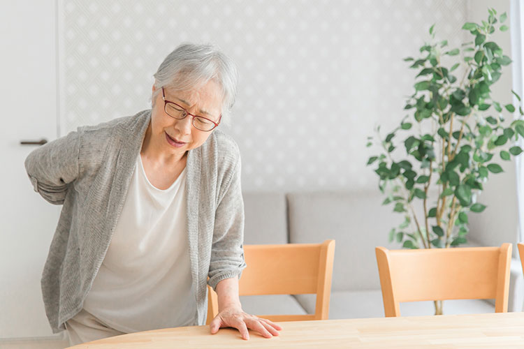 骨粗しょう症画像